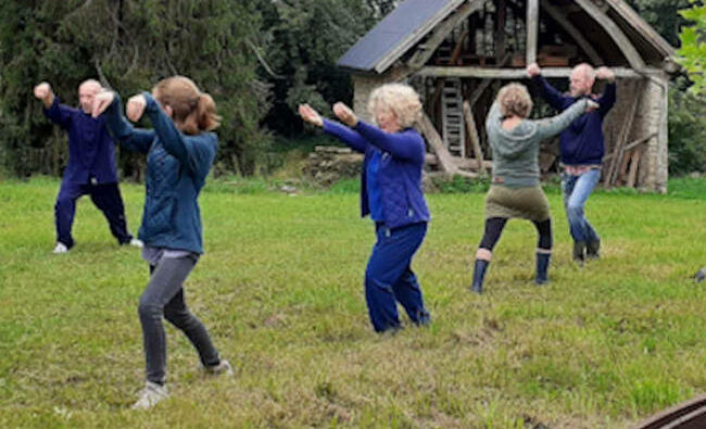 Cours collectifs de Tai chi chuan avec Michel Mathé en Vendée