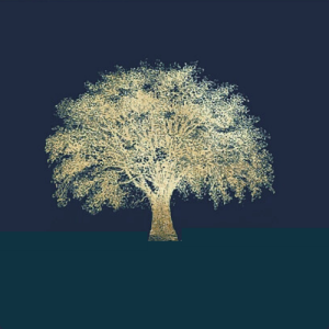 taichiviet85-larochesuryon (3)